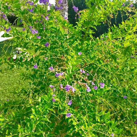 Il Giardino Deluxe 빌라 Lizzanello