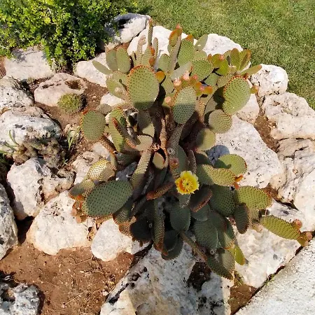 Il Giardino Deluxe 빌라 Lizzanello