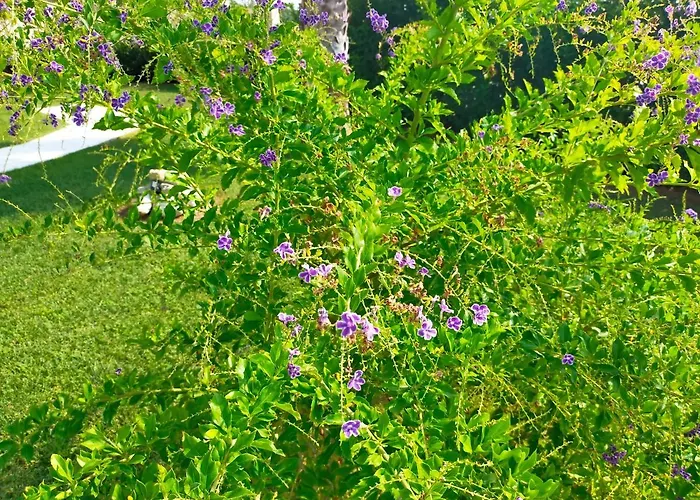 Il Giardino Deluxe וילה Lizzanello