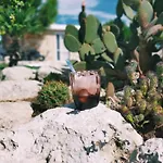 Il Giardino Deluxe