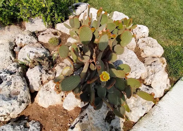 Il Giardino Deluxe Villa Lizzanello